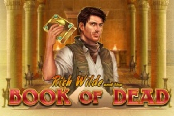 book of dead from playngo